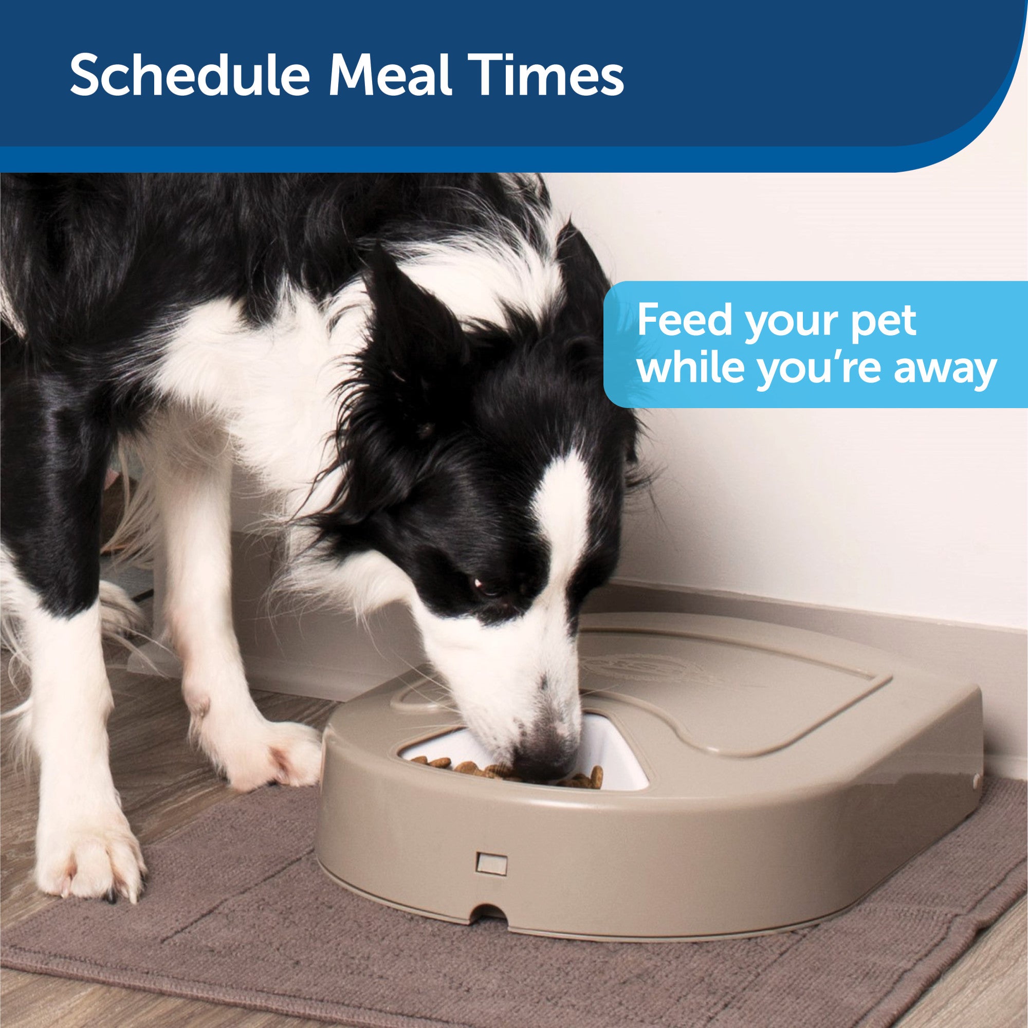 SUGIFT 5 Meal Automatic Dog and Cat Feeder, Dispenses Dog Food or Cat Food, Digital Clock