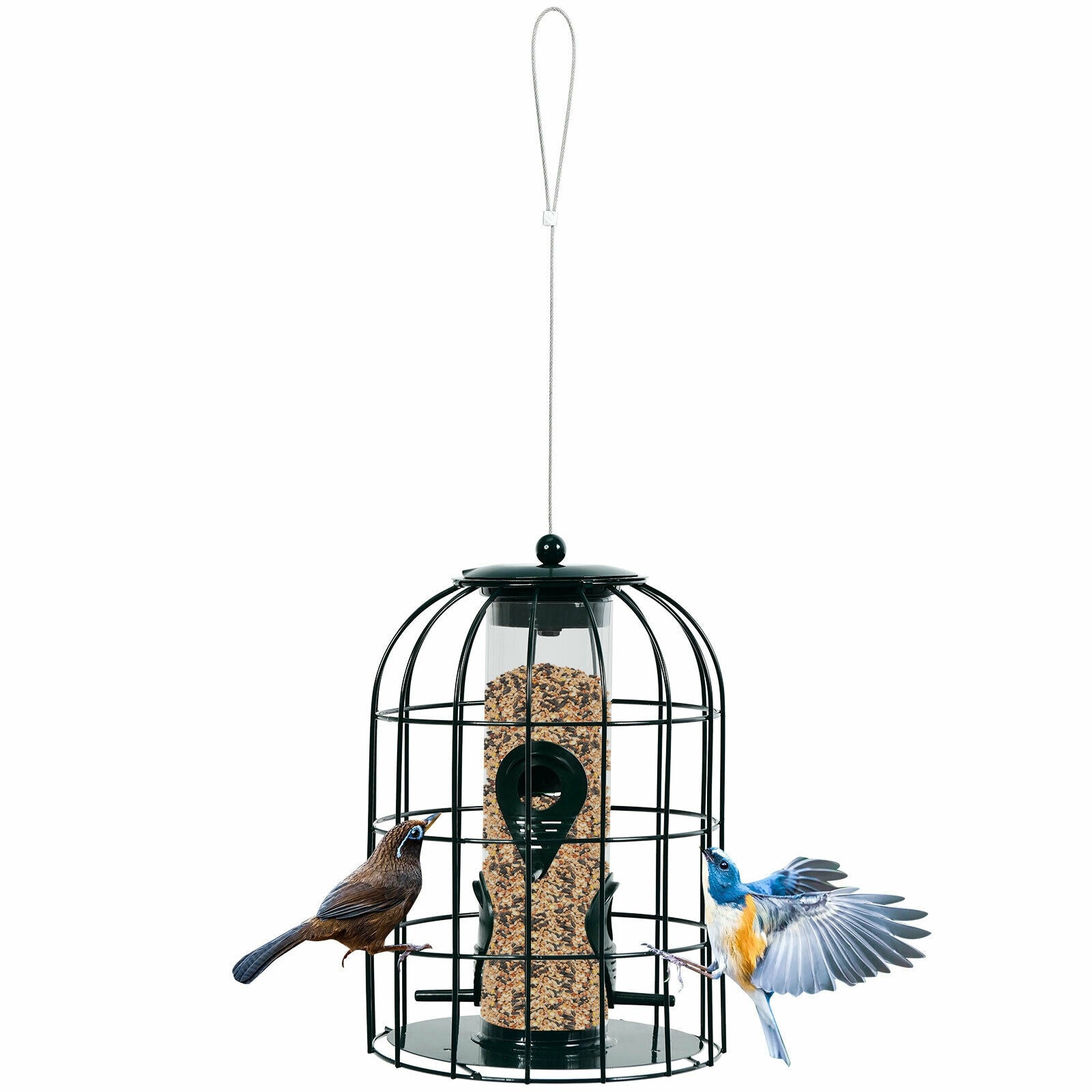 SUGIFT Squirrel-proof Caged Tube Wild Bird Feeder Outdoor Metal Seed Guard Deterrent