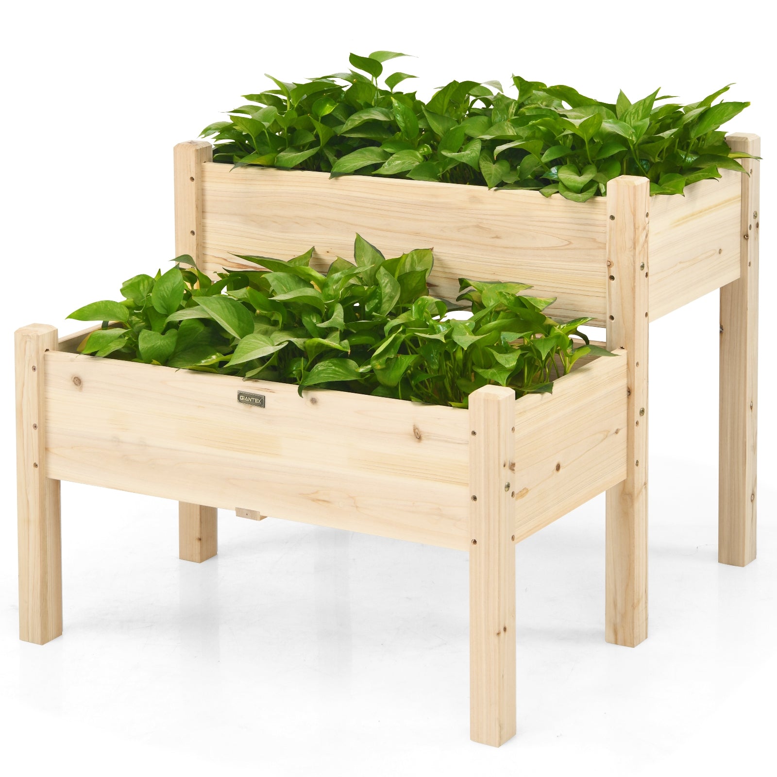 SUGIFT 2 Tier Wooden Raised Garden Bed with Legs Drain Holes