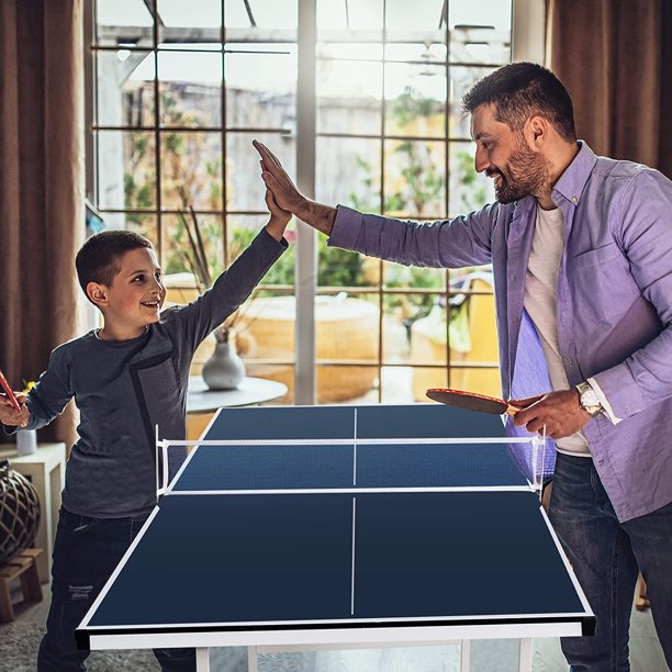 Ping Pong Table, Professional Table Tennis Table with Quick Clamp Ping Pong Net and Post Set